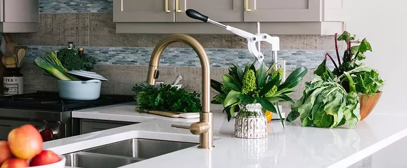 Reformar cocina casa Venta de plantas interiores y exteriores